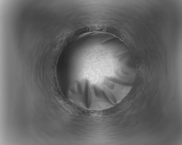 X0000061730961200512161618