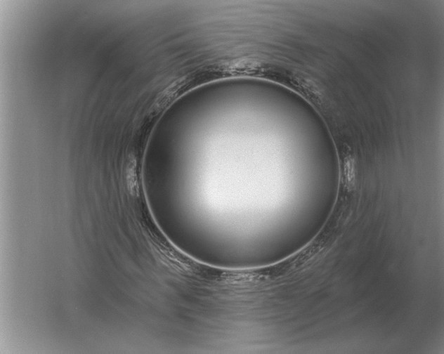 X0000061730963200512161618