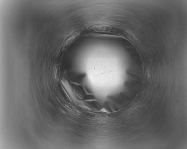 X0000061730964200512161618