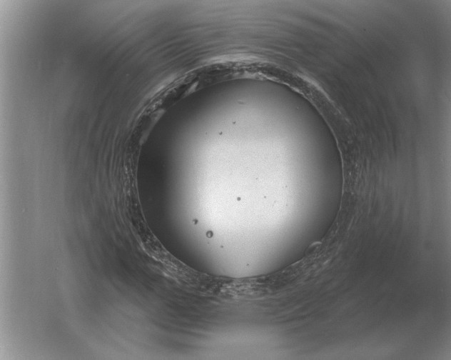 X0000061730967200512161618