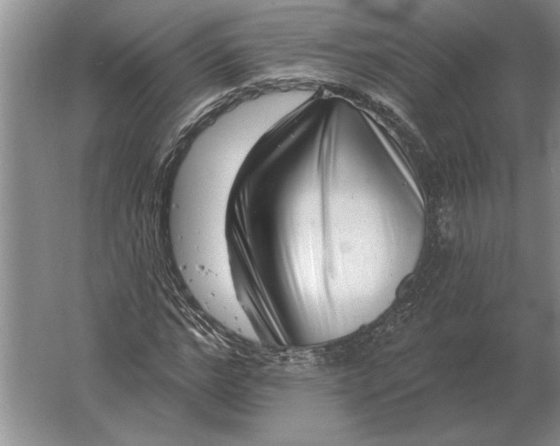 X0000061730968200512161618