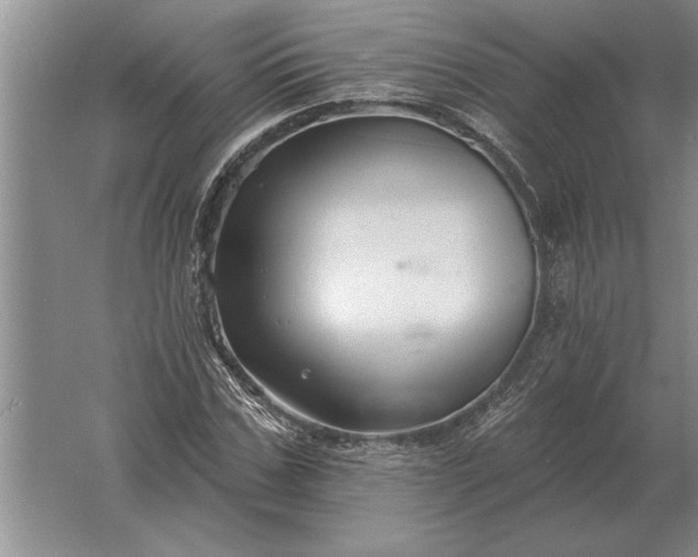 X0000061730971200512161618