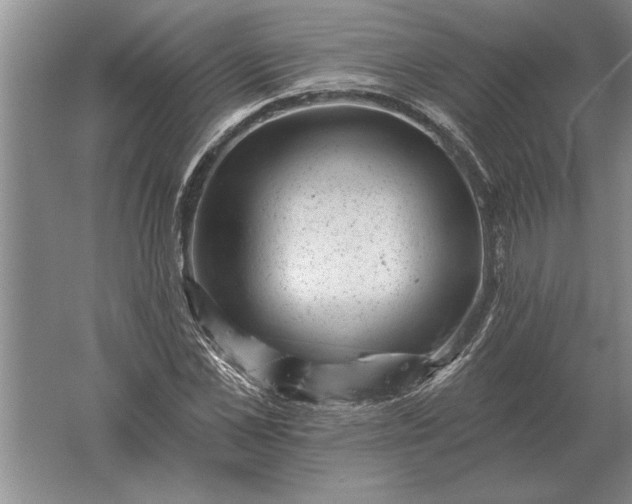 X0000061730973200512161618