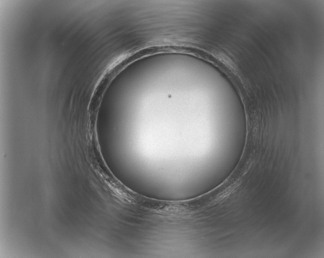 X0000061730974200512161618