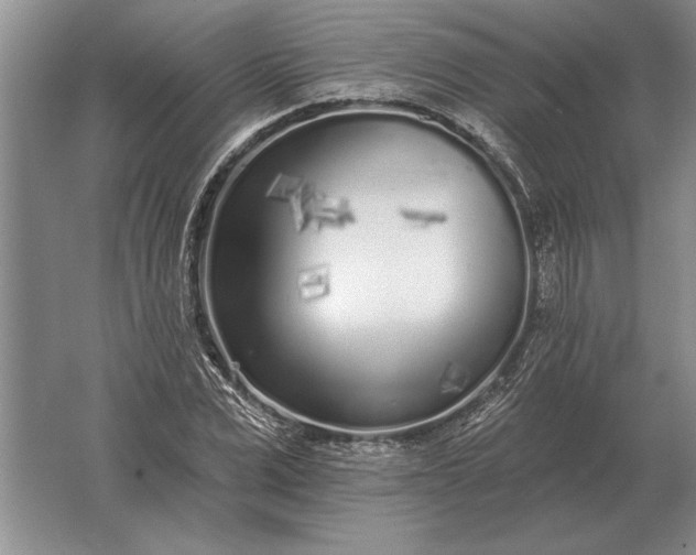 X0000061730975200512161618