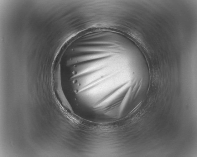 X0000061730976200512161618