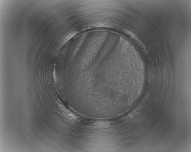 X0000061730977200512161618