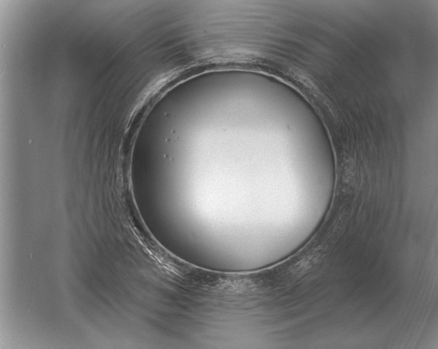 X0000061730978200512161618