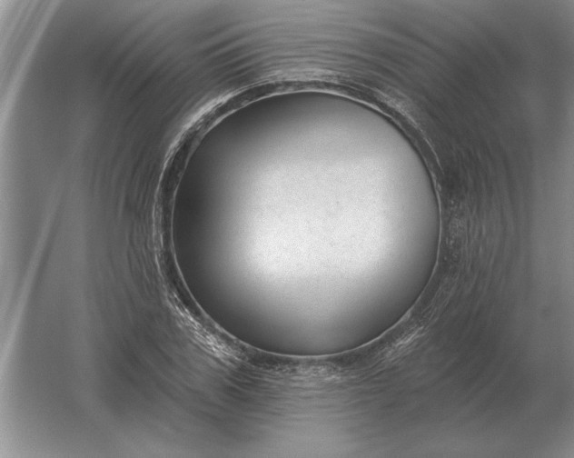 X0000061730979200512161618