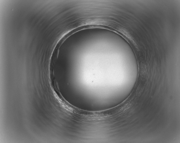 X0000061730980200512161618