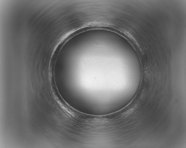 X0000061730981200512161618