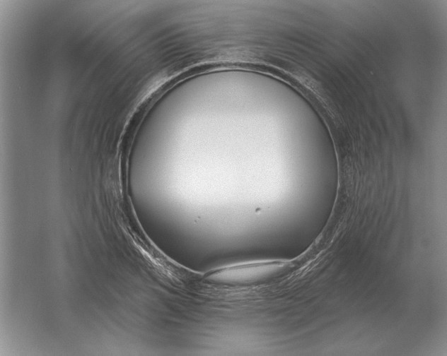 X0000061730982200512161618