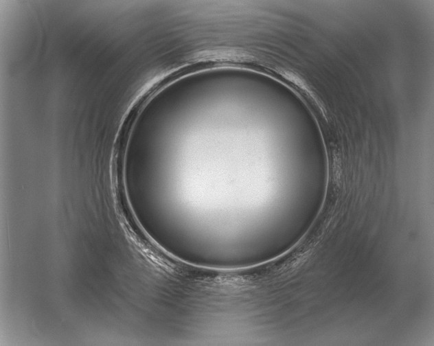 X0000061730983200512161618