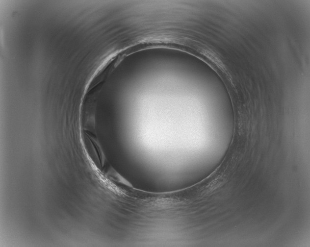 X0000061730984200512161617