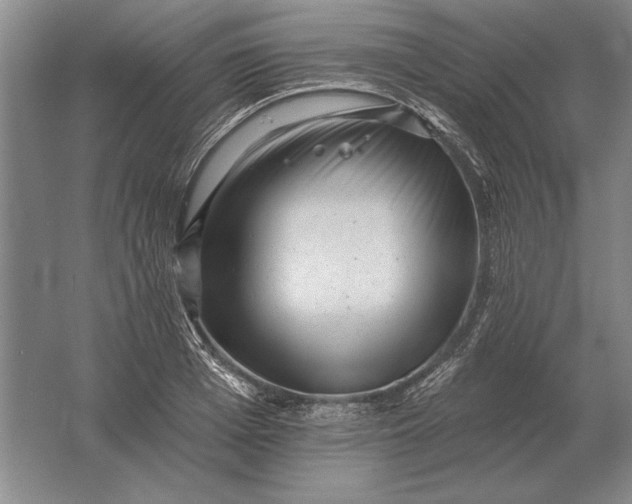 X0000061730985200512161617