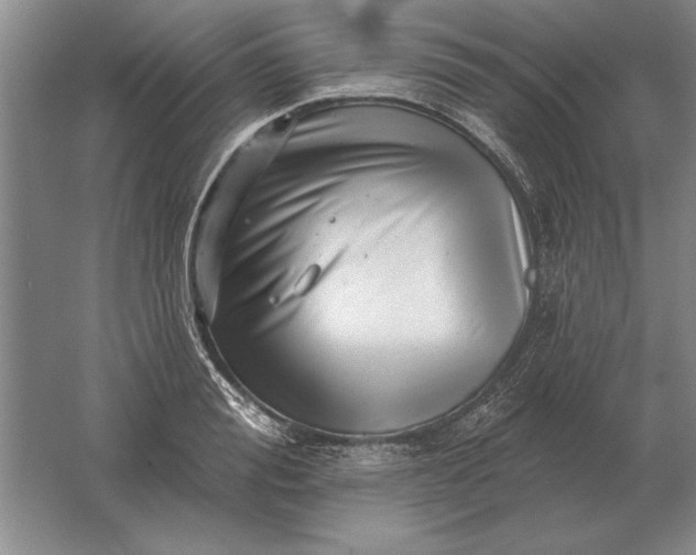 X0000061730988200512161617