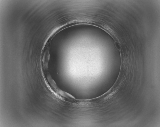 X0000061730989200512161617