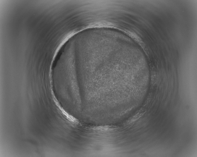 X0000061730990200512161617