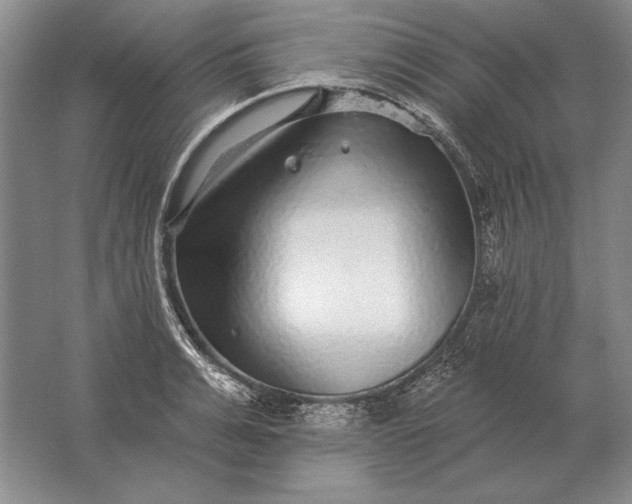 X0000061730991200512161617