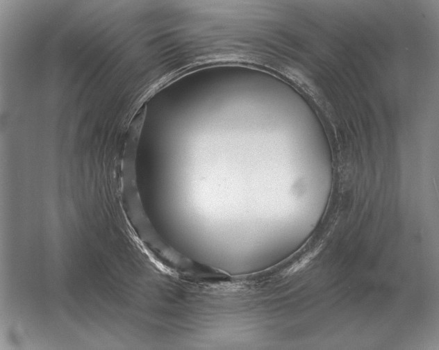 X0000061730993200512161617