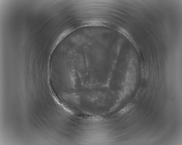 X0000061730994200512161617