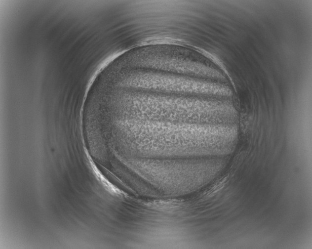 X0000061730995200512161617