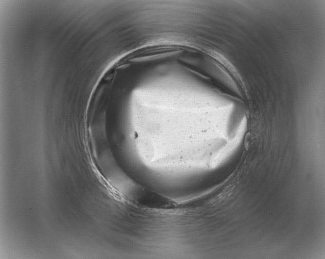 X0000061730996200512161617