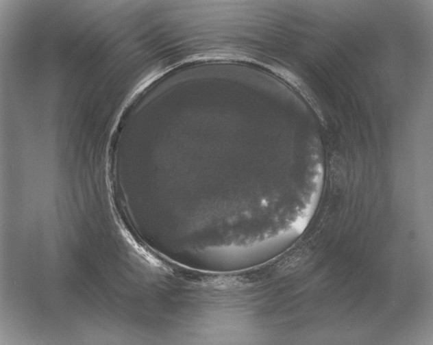 X0000061730998200512161617