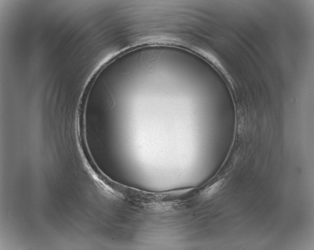 X0000061730999200512161617