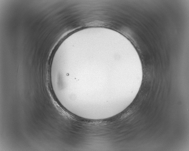 X0000061731000200512161617