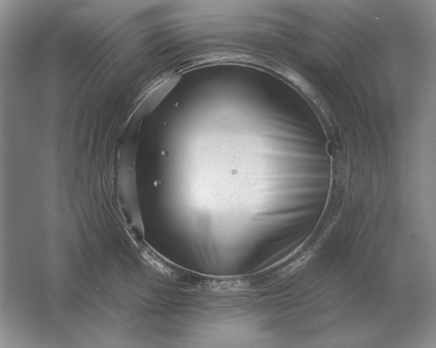 X0000061731001200512161617