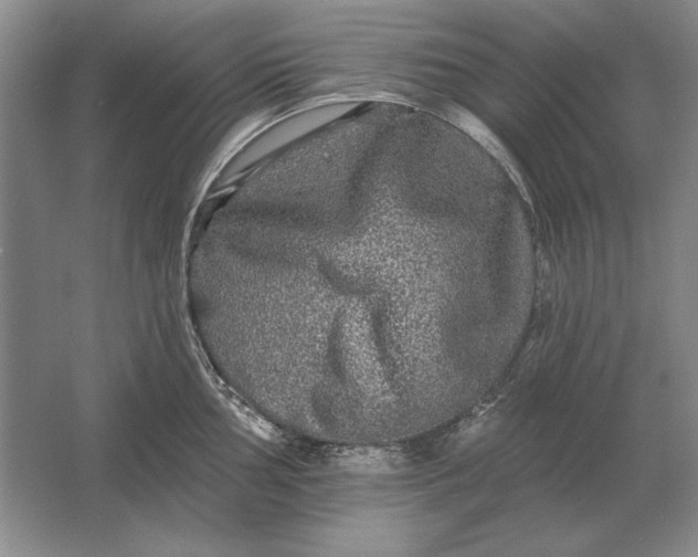 X0000061731002200512161617