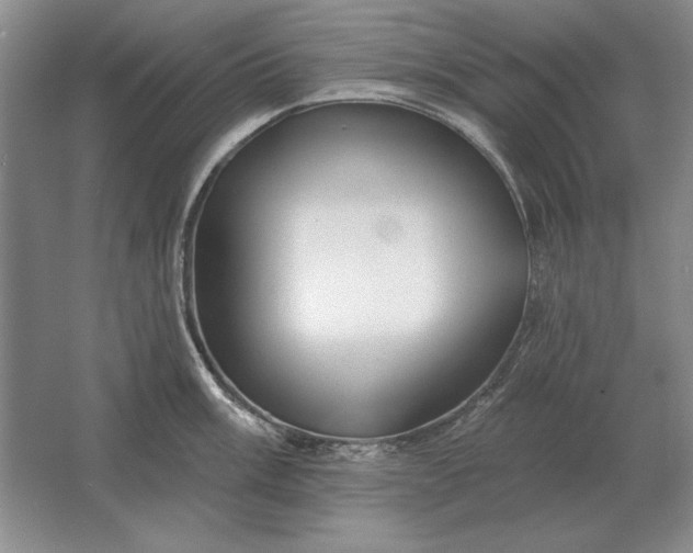 X0000061731003200512161617