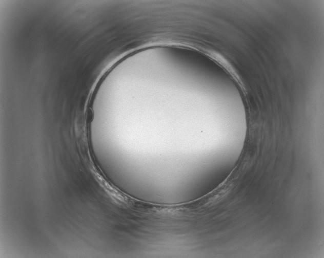 X0000061731004200512161617