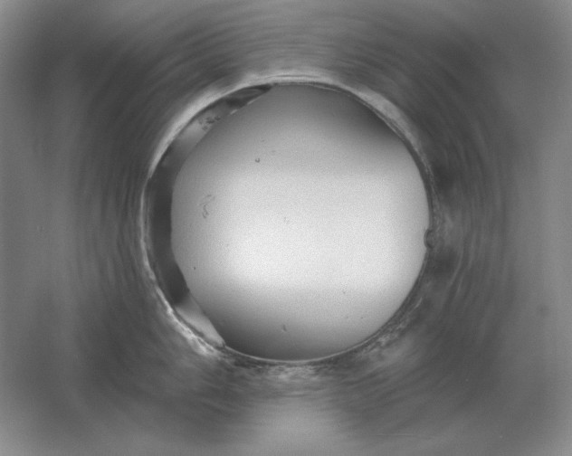 X0000061731006200512161617