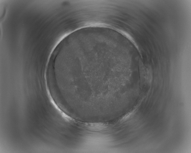 X0000061731007200512161617