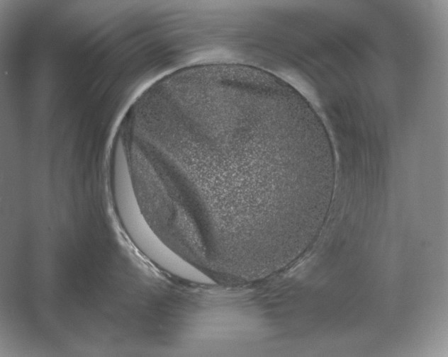 X0000061731008200512161617