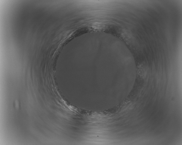 X0000061731009200512161616