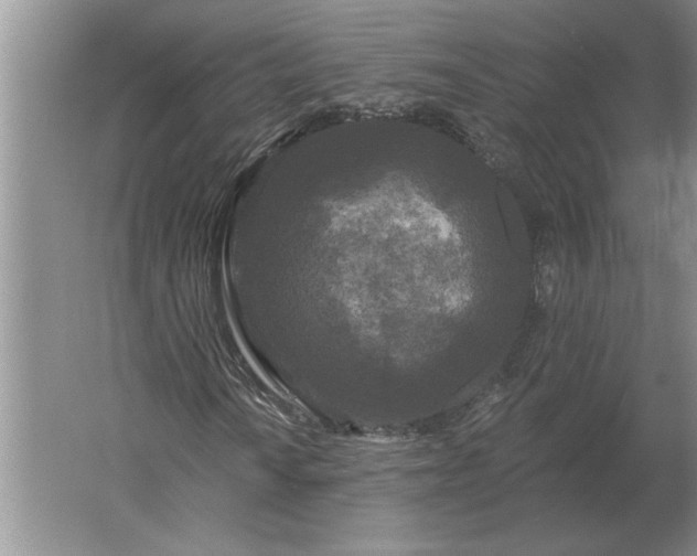 X0000061731010200512161616