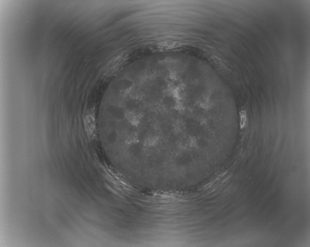 X0000061731011200512161616