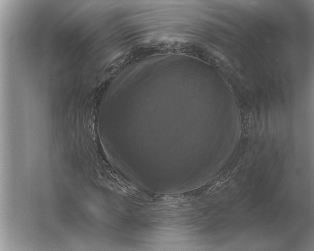 X0000061731013200512161616