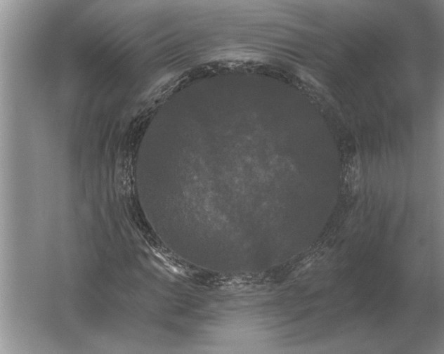 X0000061731014200512161616