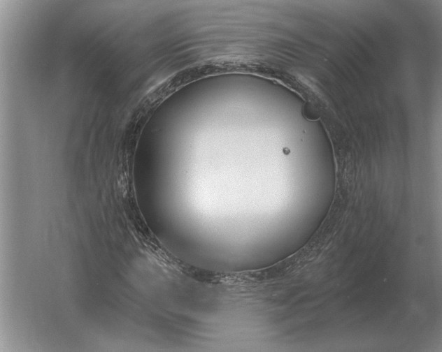 X0000061731015200512161616