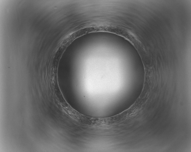 X0000061731016200512161616