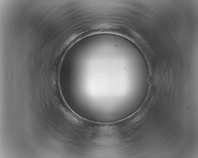 X0000061731017200512161616