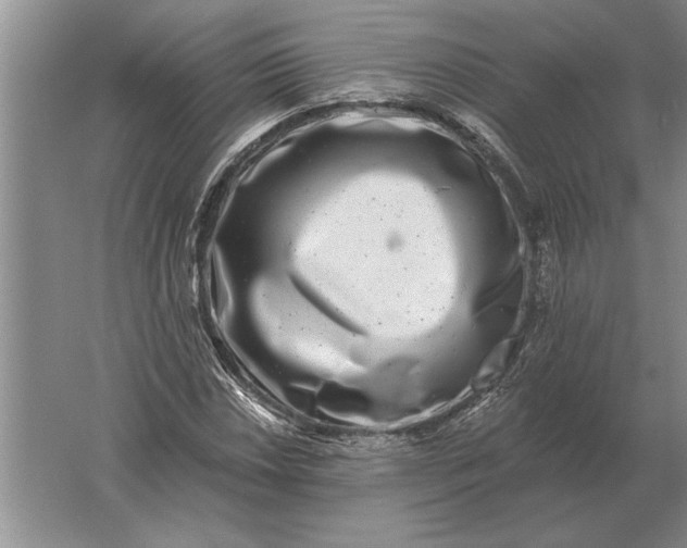 X0000061731018200512161616