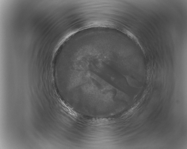 X0000061731019200512161616