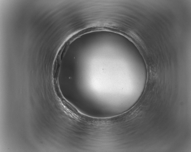 X0000061731020200512161616