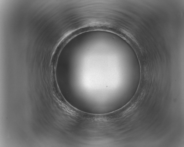 X0000061731021200512161616