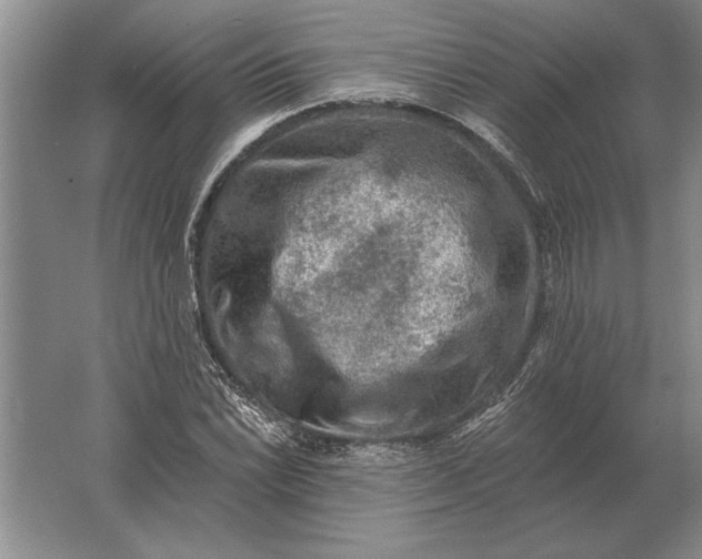 X0000061731022200512161616